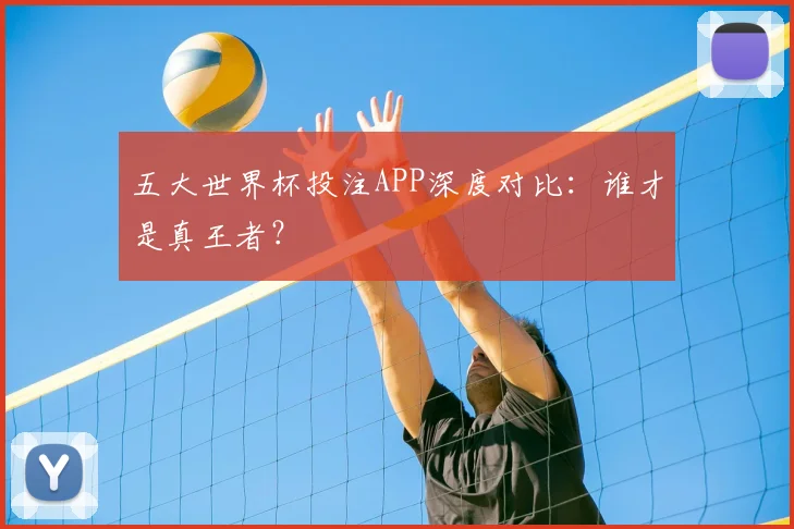 五大世界杯投注APP深度对比：谁才是真王者？
